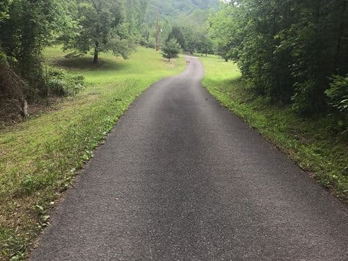 The paved lane winding in through pasture and trees