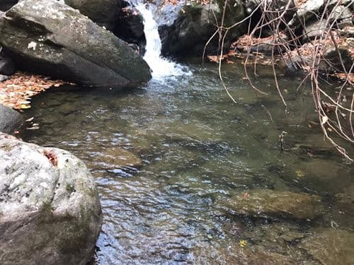 A small waterfall spilling into a clear creek pool