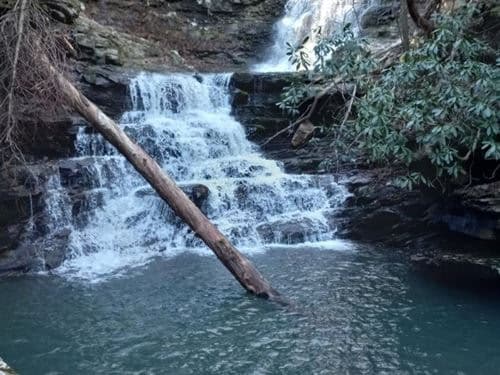 Creek water moving through stones and fallen leaves