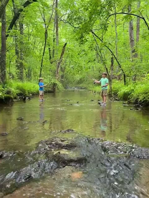 Two kids fly-fishing a clear creek under a green canopy